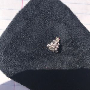 Authentic Pandora Charm